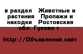  в раздел : Животные и растения » Пропажи и находки . Ростовская обл.,Гуково г.